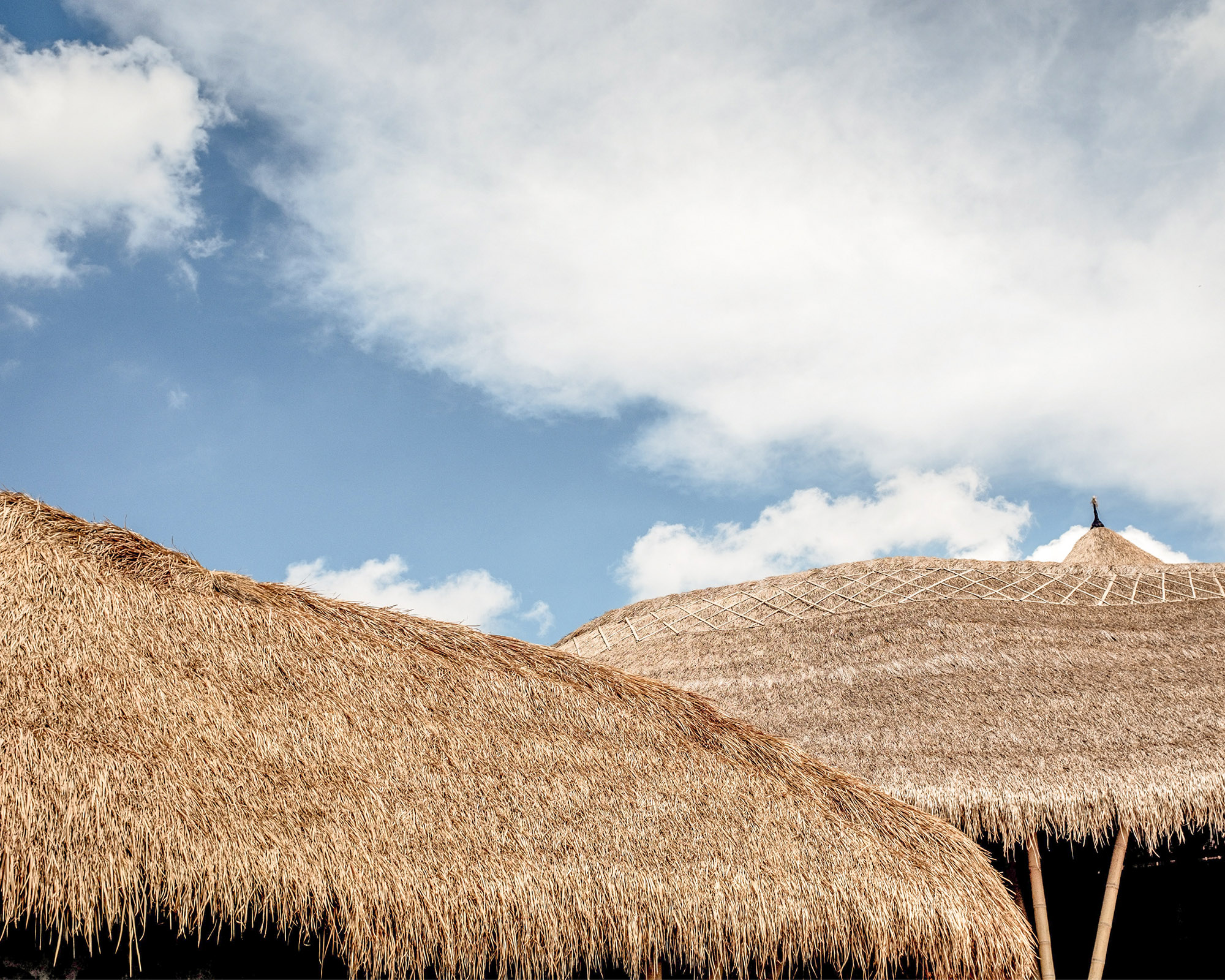 Thatch Roof Detail by Bernard Hermant